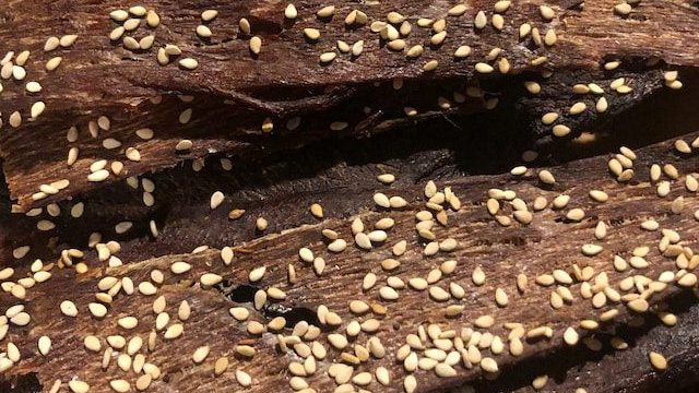 シロアリが家の中に侵入する原因