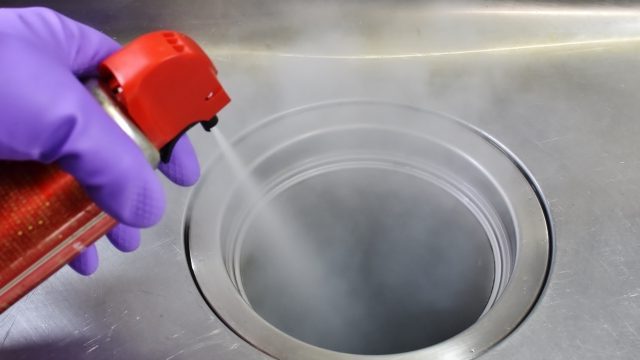 自宅での害虫駆除の必要性