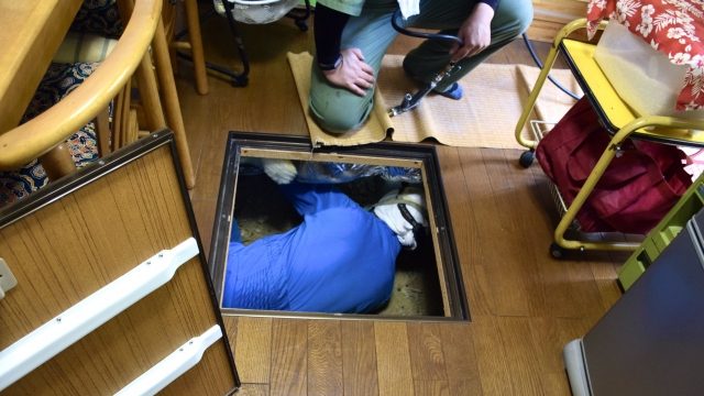 プロによる害虫駆除の利点