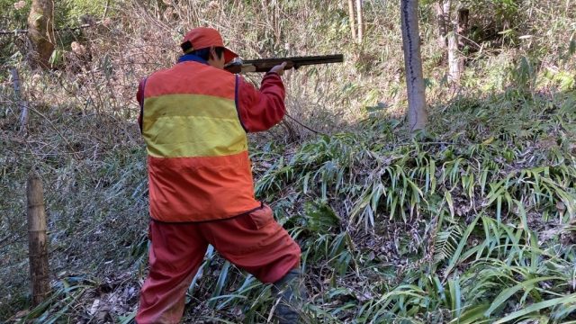 害獣駆除の法的側面