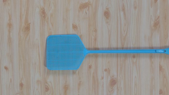 自分で行う害虫駆除の方法