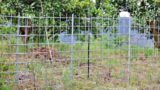 害獣駆除のための予防と管理
