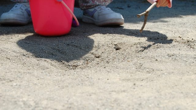 安全なアリの巣駆除のための専門家のアドバイス