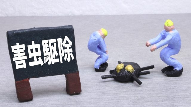 自分で害虫駆除がしたい!おすすめの最強薬剤と安全な使い方を徹底解説